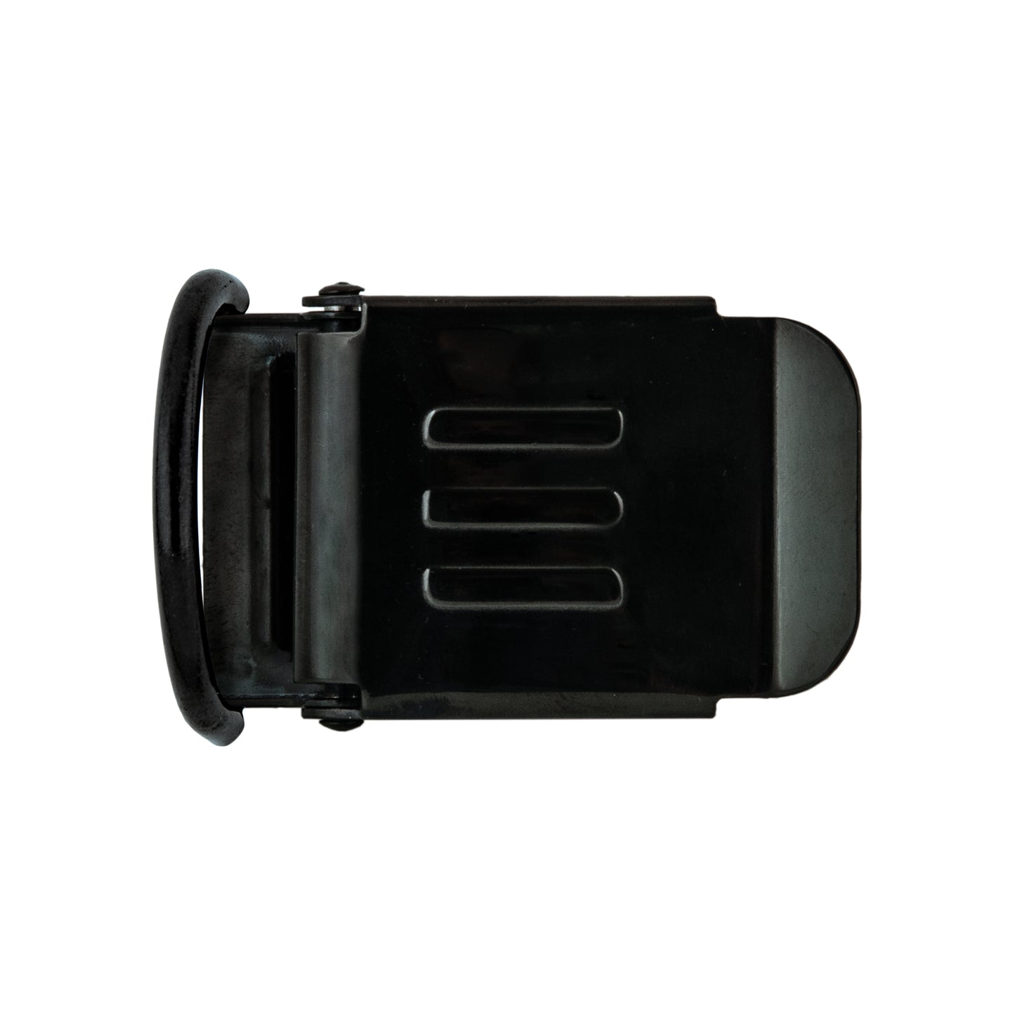 Fibbia inox con D-Ring-TECLINE-DIR STORE