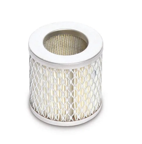 Filtro aria di aspirazione per le linee Efficient e Prime-COLTRI-DIR STORE