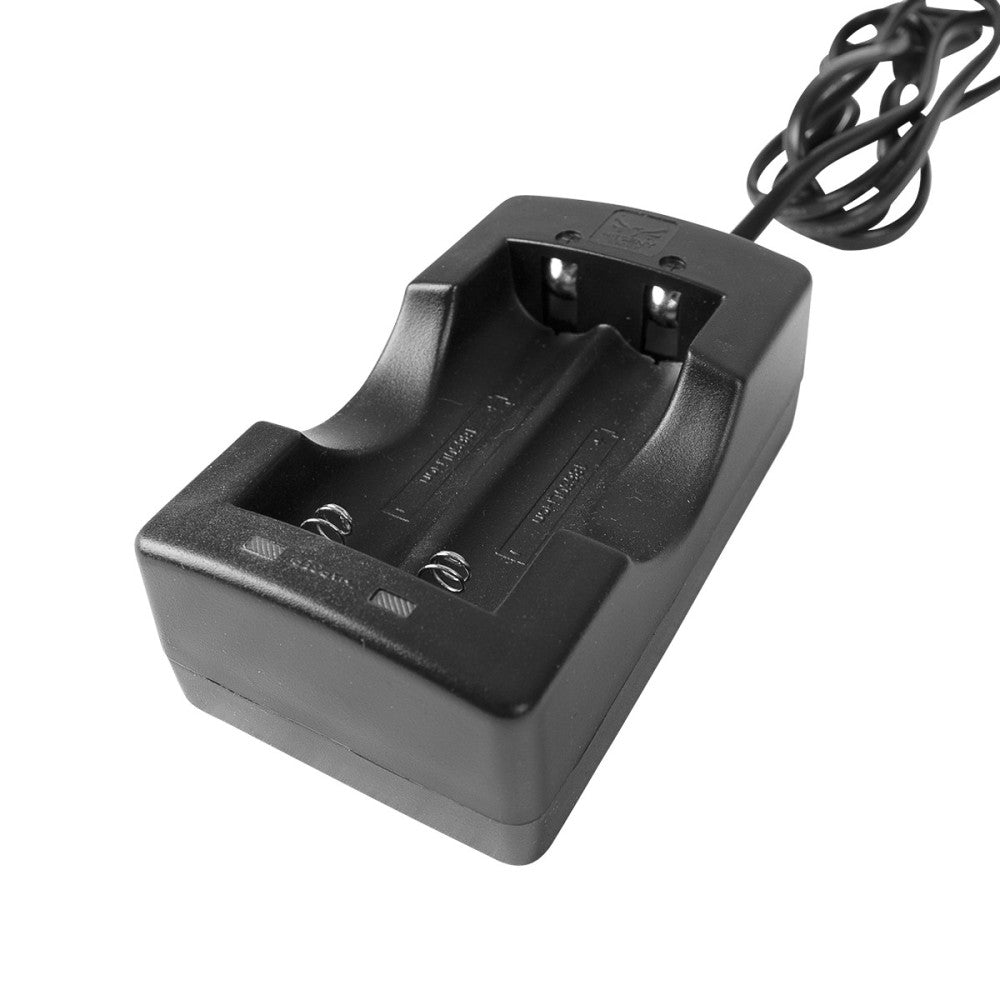 Caricabatterie doppio 18650-Procean-DIR STORE