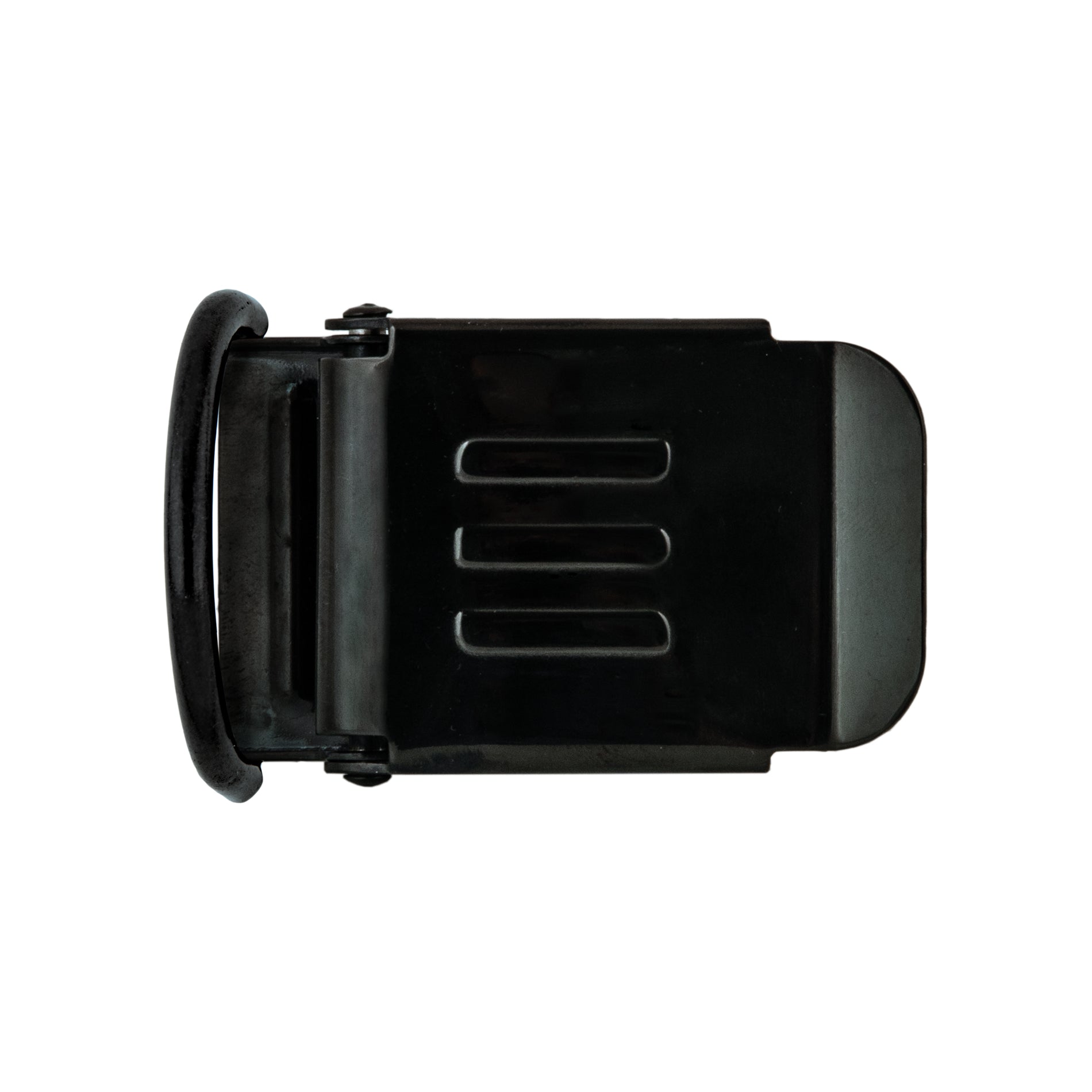 Fibbia inox con D-Ring-TECLINE-DIR STORE