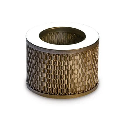 Filtro aria di aspirazione per linea Heavy Duty-COLTRI-DIR STORE