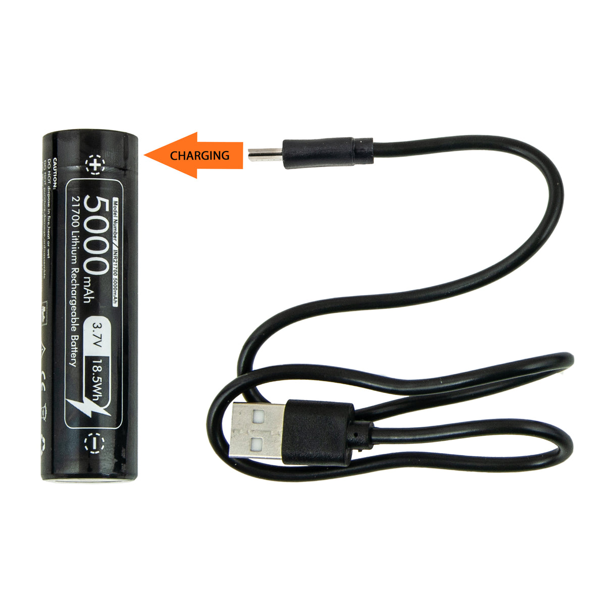 Torcia Subacquea LED Tecline T4900 (4900 lumen)